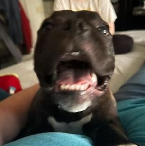 Meet your Posher, Richard